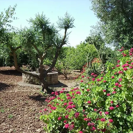 Finca La Luz * Carmona (Seville)